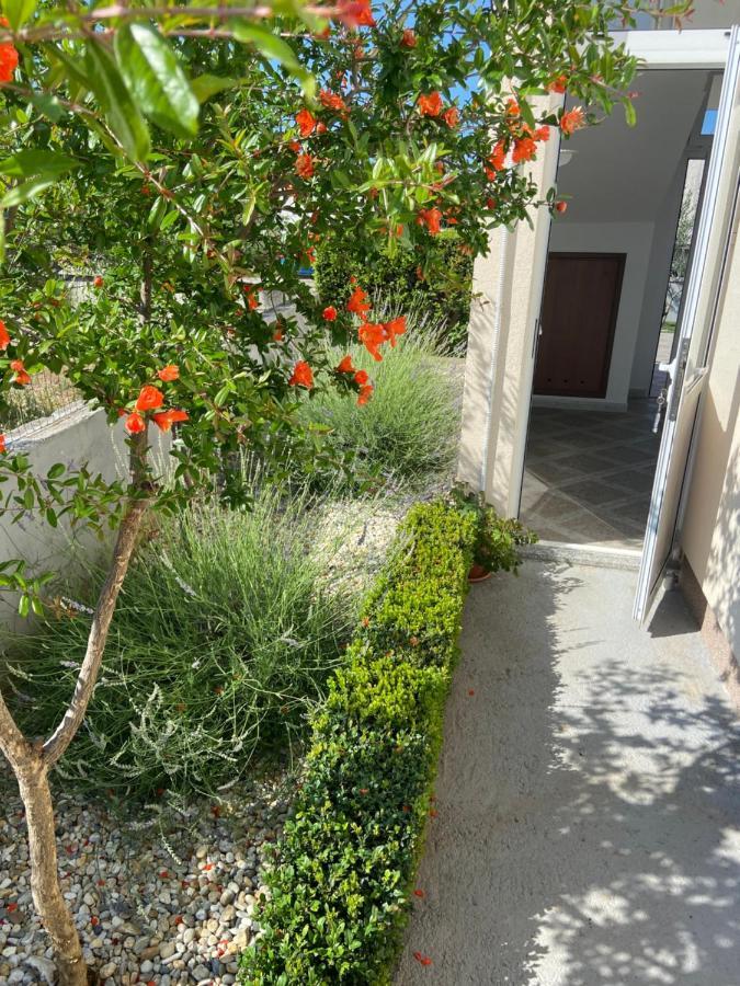 Apartman Danijela Vodice Kültér fotó